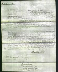 Court of Common Pleas - Hannah Potter, Elizabeth Sanderson, Christiana Holmes, Martha Hodgson and Rachel Toes-Original Ancestry