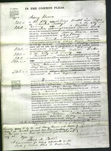 Court of Common Pleas - Eliza Ann Milward-Original Ancestry