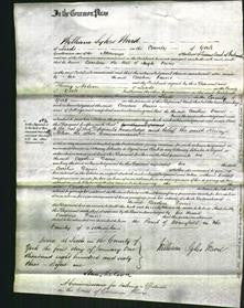 Court of Common Pleas - Caroline Davies-Original Ancestry