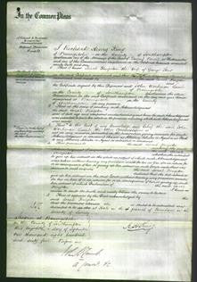 Court of Common Pleas - Sarah Kingston Stent-Original Ancestry