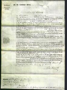 Court of Common Pleas - Philadelphia Holloway-Original Ancestry