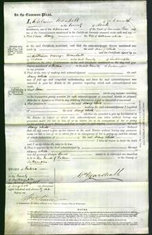 Court of Common Pleas - Mary White-Original Ancestry