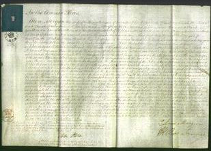 Court of Common Pleas - Elizabeth Davies and Margaret Belt-Original Ancestry