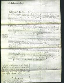 Court of Common Pleas - Elizabeth Williams-Original Ancestry