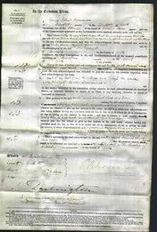 Court of Common Pleas - Martha Lawson, Sarah Baker, Hannah Robinson and Jane Town-Original Ancestry