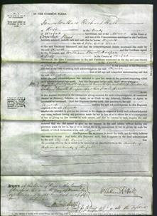 Court of Common Pleas - Elizabeth Brown-Original Ancestry