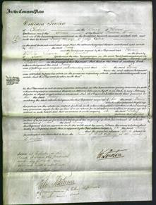 Court of Common Pleas - Fanny Osborn-Original Ancestry