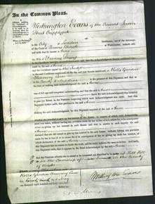 Court of Common Pleas - Anne Strong-Original Ancestry