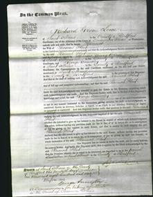 Court of Common Pleas - Hannah Flint-Original Ancestry