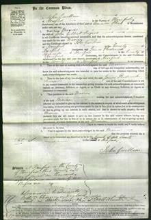 Court of Common Pleas - Marion Rogers-Original Ancestry