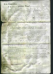 Court of Common Pleas - Sarah Smith-Original Ancestry