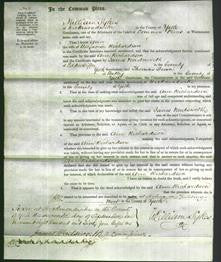 Court of Common Pleas - Ann Richardson-Original Ancestry