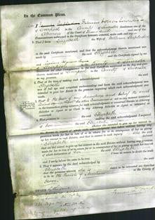 Court of Common Pleas - Elizabeth Stapledon-Original Ancestry