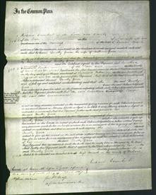 Court of Common Pleas - Dorothy Grace-Original Ancestry