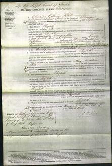 Court of Common Pleas - Elizabeth Skinner-Original Ancestry