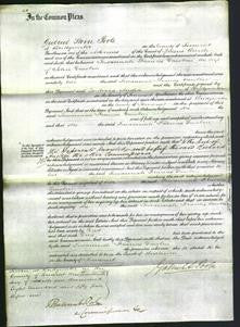 Court of Common Pleas - Susannah Frances Dawbin-Original Ancestry