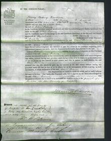 Court of Common Pleas - Ellen Palmer-Original Ancestry