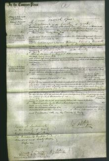 Court of Common Pleas - Mary Ann Cox-Original Ancestry