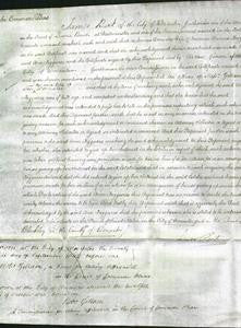 Court of Common Pleas - Ann Figgures-Original Ancestry