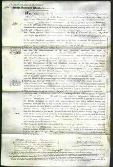 Court of Common Pleas - Sarah Lewis, Elizabeth James and Mary Thomas-Original Ancestry