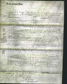 Court of Common Pleas - Mary Ann Bilton and Eliza Stanton-Original Ancestry