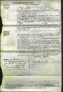 Court of Common Pleas - Mary Jackson-Original Ancestry