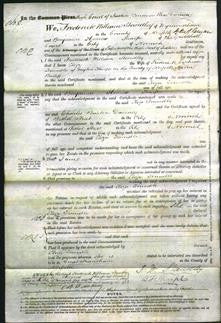 Court of Common Pleas - Eliza Trundle-Original Ancestry