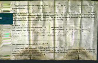 Deed by Married Women - Ann Copeman-Original Ancestry