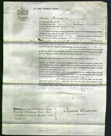 Court of Common Pleas - Eliza Bint-Original Ancestry