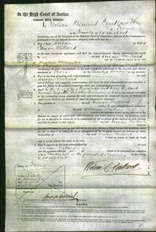 Court of Common Pleas - Susan Millard-Original Ancestry