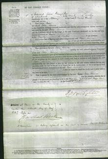 Court of Common Pleas - Jane Simson-Original Ancestry