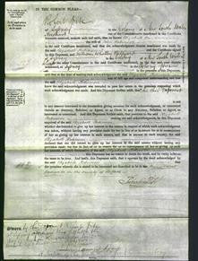 Court of Common Pleas - Elizabeth Robinson-Original Ancestry