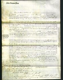 Court of Common Pleas - Mary Waters-Original Ancestry