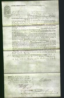 Court of Common Pleas - Elizabeth Bywater-Original Ancestry