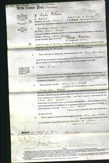 Court of common Pleas - Mary Ann Wright-Original Ancestry