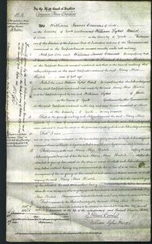 Court of Common Pleas - Mary Alice Hatch-Original Ancestry