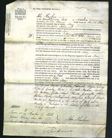 Court of Common Pleas - Mary Netherwood-Original Ancestry