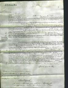 Court of Common Pleas - Rebecca Marshall and Athalia Timons-Original Ancestry