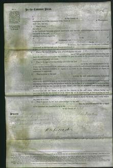 Court of Common Pleas - Mary Ann Wanstall-Original Ancestry