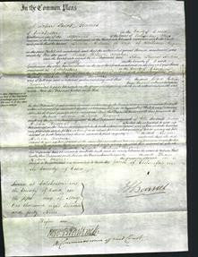 Court of Common Pleas - Lucia Helena Rayner-Original Ancestry