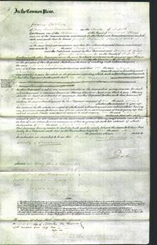 Court of Common Pleas - Anna Newling-Original Ancestry