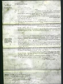 Court of Common Pleas - Milly Mirehouse-Original Ancestry