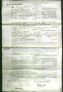 Court of Common Pleas - Mary Cartinell-Original Ancestry