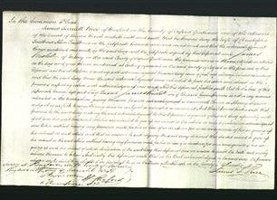 Court of Common Pleas - Lucy Faulkner-Original Ancestry