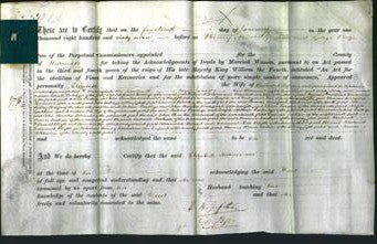 Deed by Married Women - Elizabeth Turner-Original Ancestry