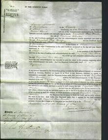 Court of Common Pleas - Elizabeth Ann Marten-Original Ancestry