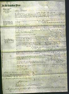 Court of Common Pleas - Jane Beagley-Original Ancestry