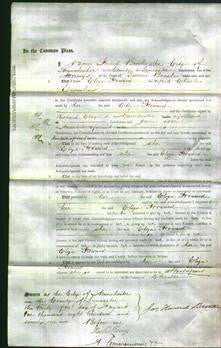 Court of Common Pleas - Eliza Howard Earnshaw-Original Ancestry