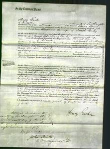 Court of Common Pleas - Christian Bailey-Original Ancestry