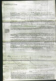 Court of Common Pleas - MaryCoulson-Original Ancestry